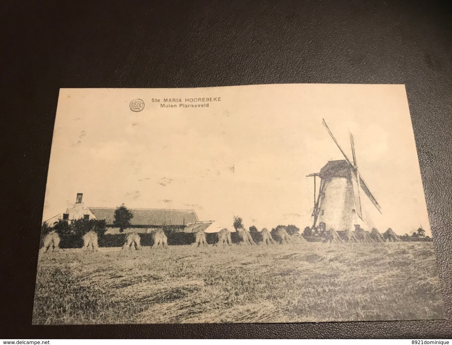 Sainte-Maria-Hoorebeke Sint-Marie-Horebeke - Molen Plankeveld Van Gansbeke - Uitg. Kinders Librecht Moulin Mill Muhle - Horebeke