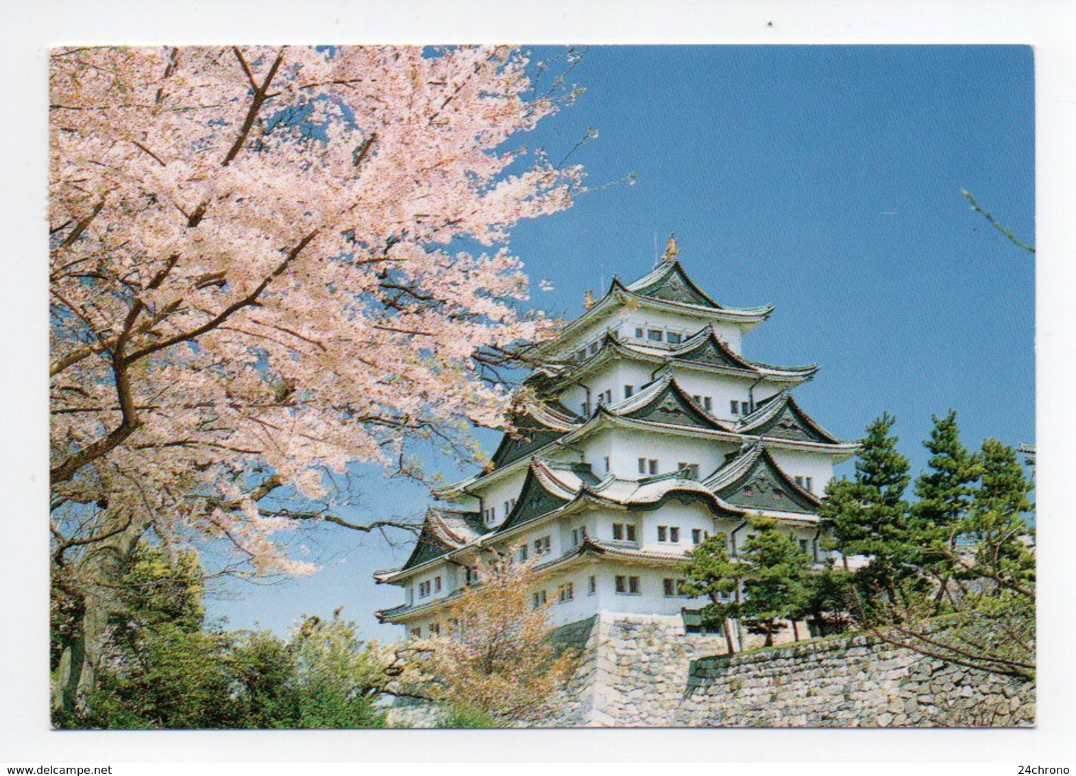 Japon: Nagoya Castle (19-1738) - Nagoya