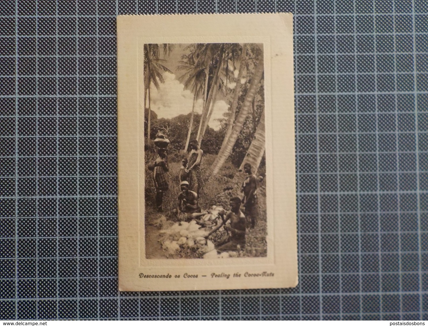 11.178) 1917 AFRICA Descascando Os Cocos Pealing The Cocoa-Nuts (misspelled) - Afrika