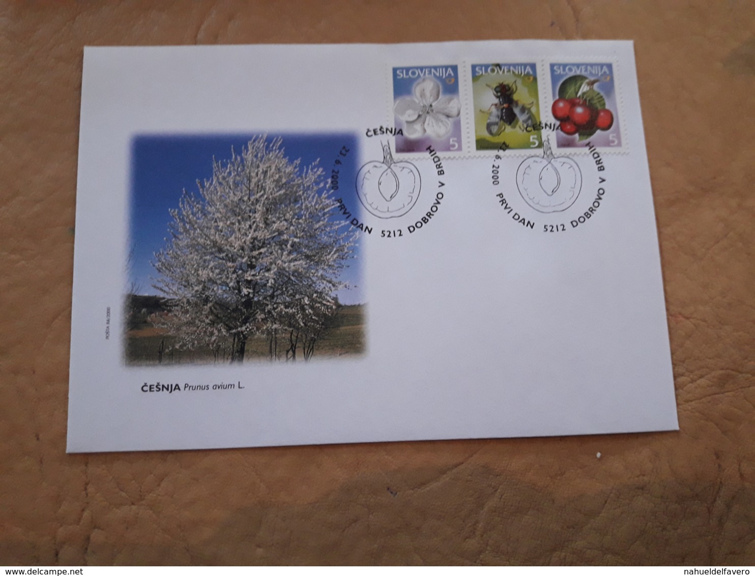 Slovenie FDC Serie Fruits 2000 - Slovénie