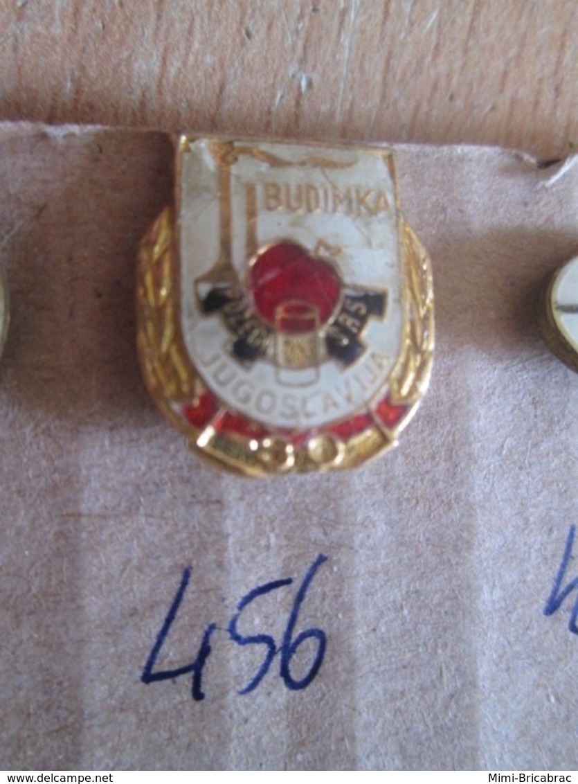 Pas Pin's Mais EPINGLETTE ANNEES 70/80 Origine EUROPE DE L'EST YOUGOSLAVIE : N°456 POMME ROUGE BUDIMKA JUGOSLAVIJA - Autres & Non Classés