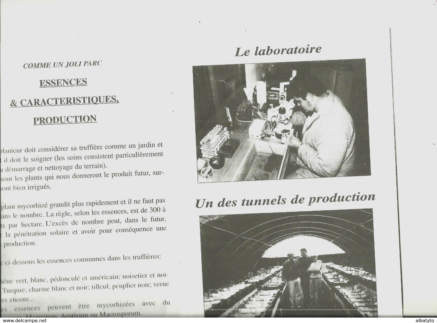 Comment Créer Une Plantation à Truffes Myco Truffes Champignon Truffe Tartufo Trufficulture Beaulieu 34 - Autres & Non Classés