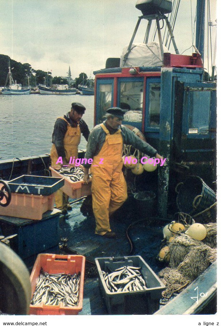 REF 399 : CPSM Bretagne Peche Pecheur Retour Au Port - Pêche