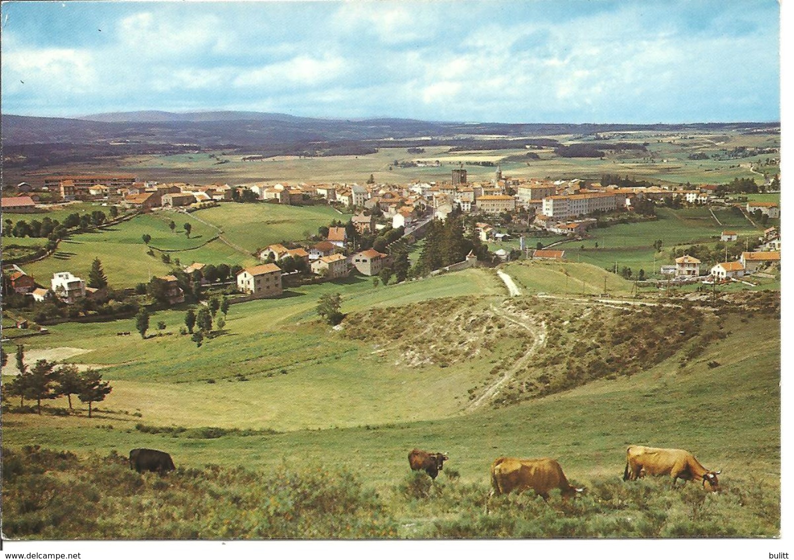 SAUGUES - Vue Générale - Saugues