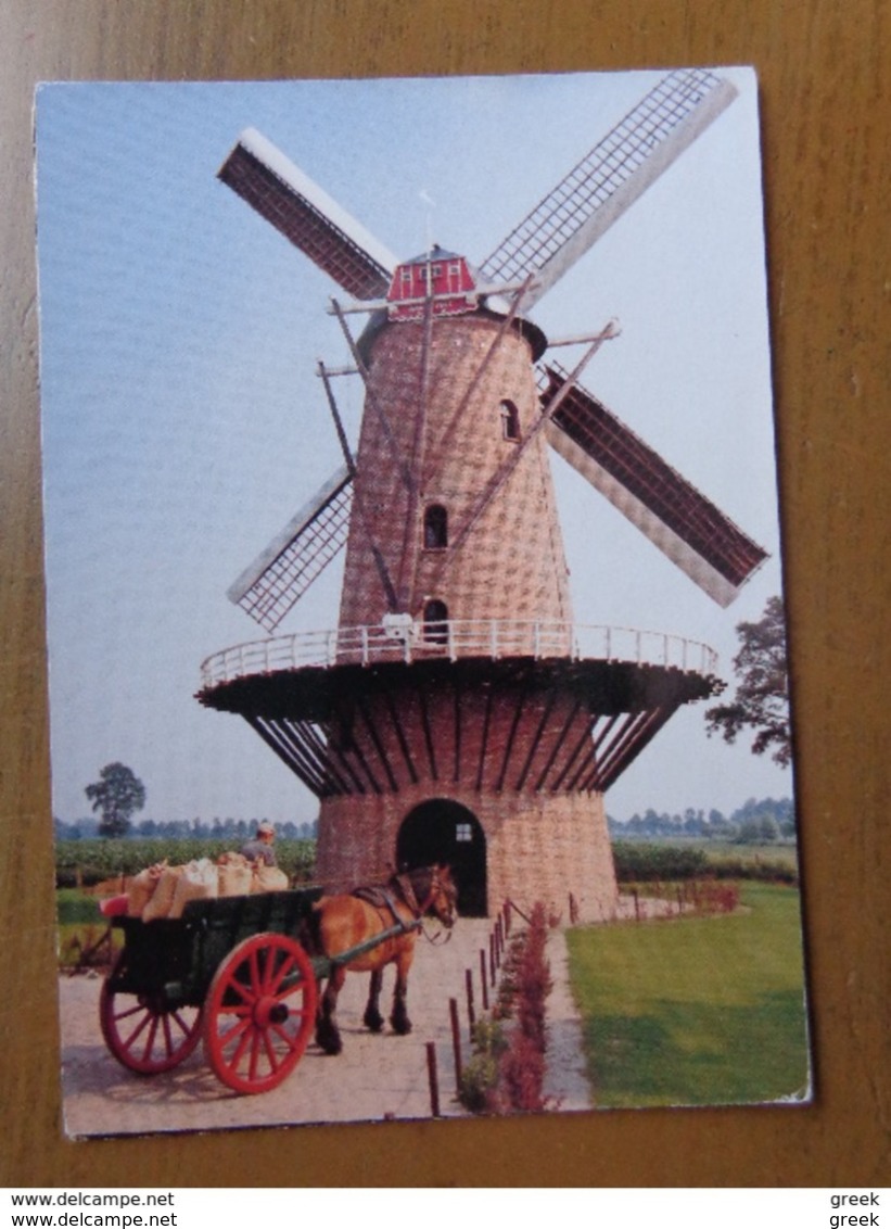 Doos Postkaarten (2kg187) Allerlei Landen (ook Veel Belgie Gekleurd) Zie Enkele Foto's - 500 CP Min.