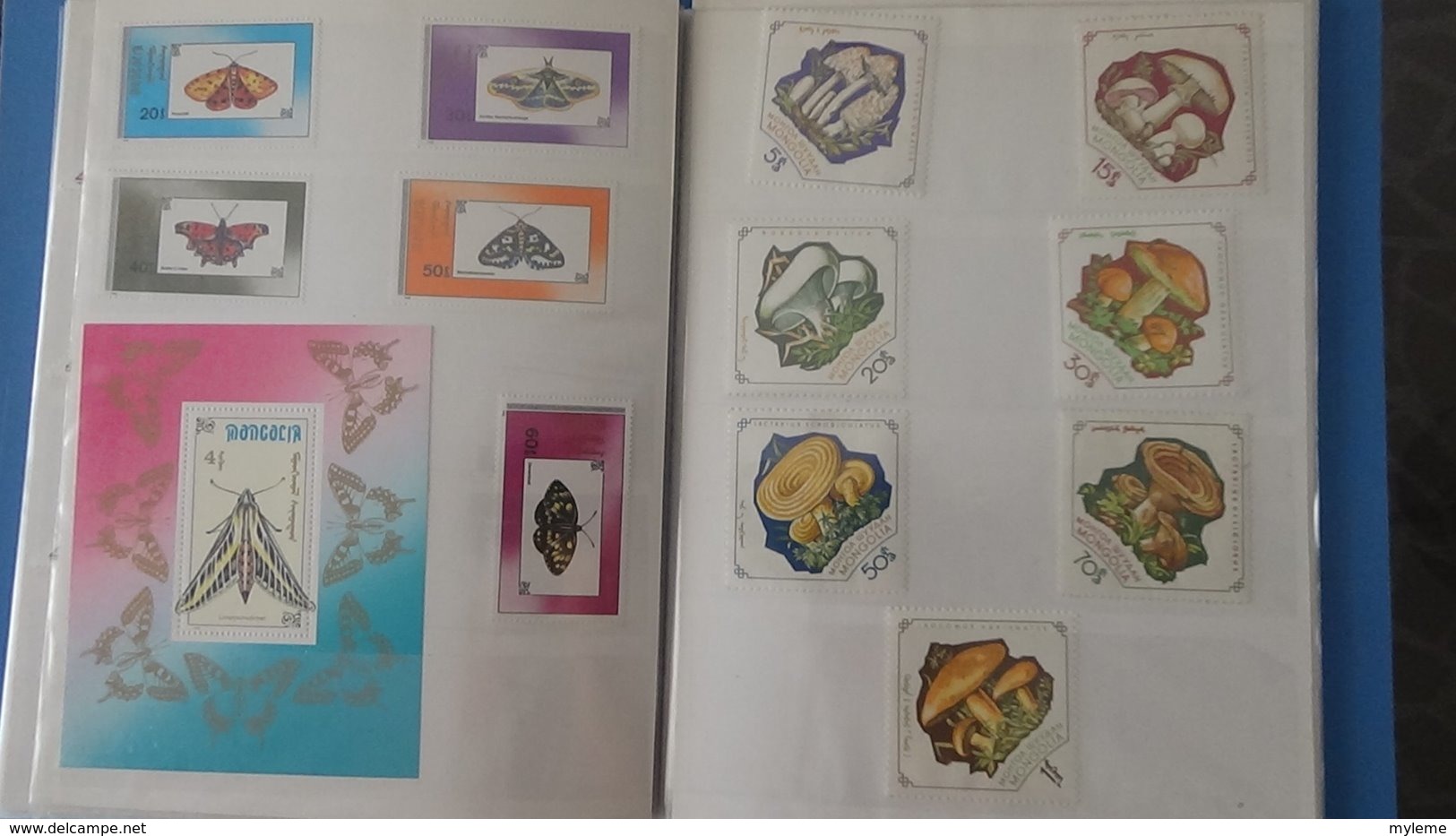 Petite collection de MONGOLIE en timbres et blocs ** dans 3 carnets . A saisir !!!