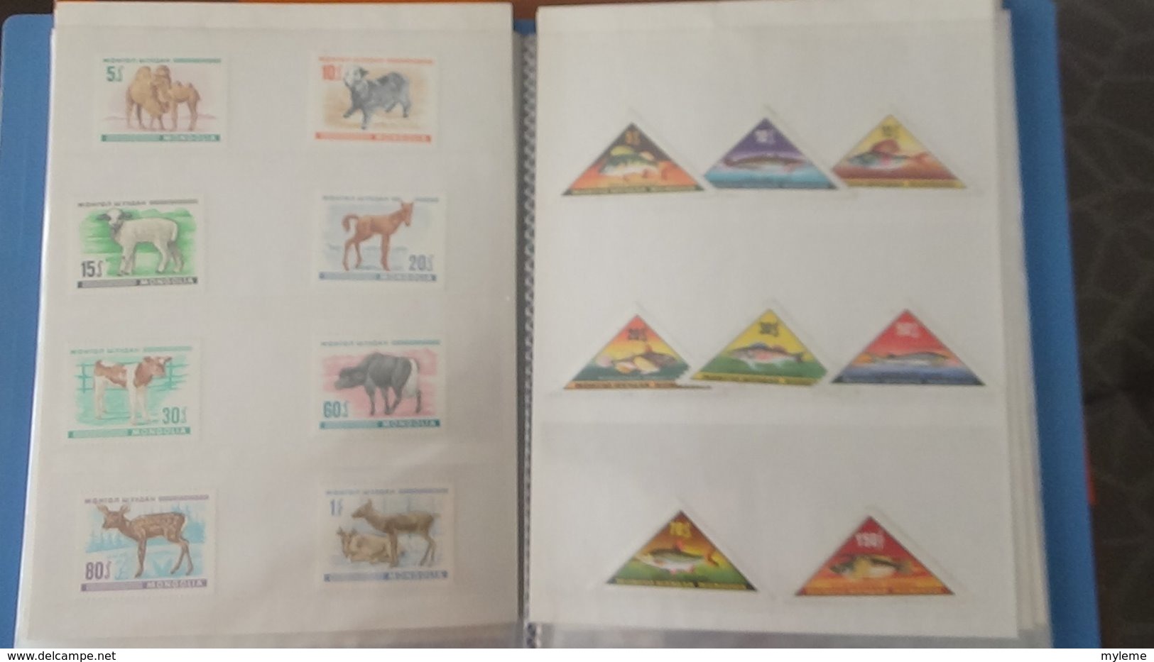 Petite collection de MONGOLIE en timbres et blocs ** dans 3 carnets . A saisir !!!