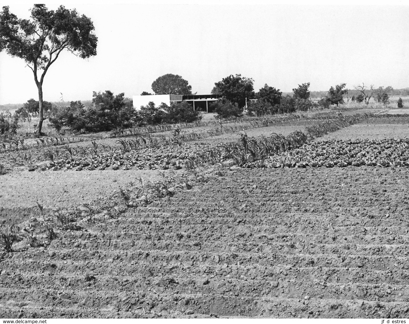 Photo Haute Volta 1980. Efforts Agricoles De La Mission Adventiste De Bazera. Photo Du Père Gust Beeckmans - Afrique