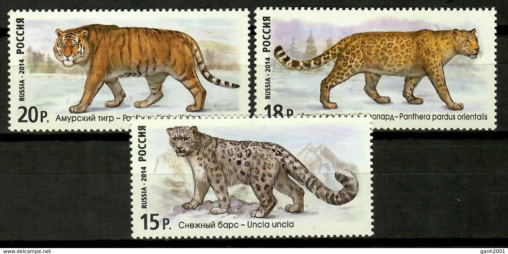 Russia 2014 Rusia / Big Cats MNH Felinos Säugetiere / Cu12229  36-49 - Felinos