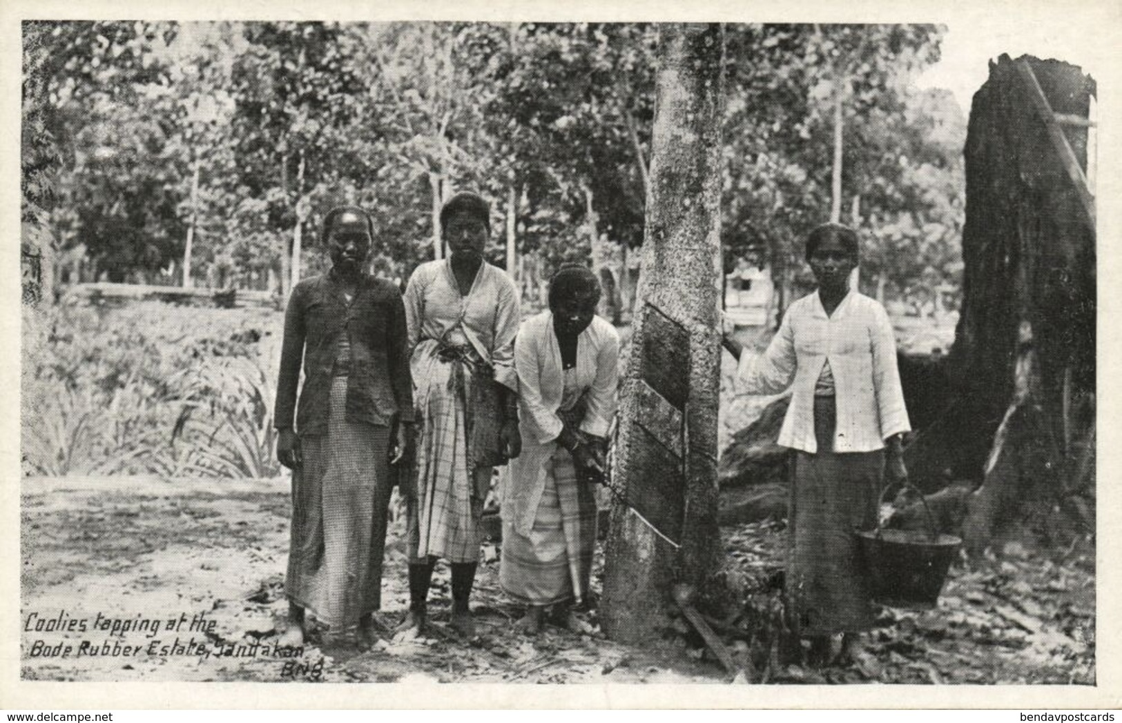 British North Borneo, SABAH SANDAKAN, Bode Rubber Estate, Coolies Tapping 1930s - Malaysia