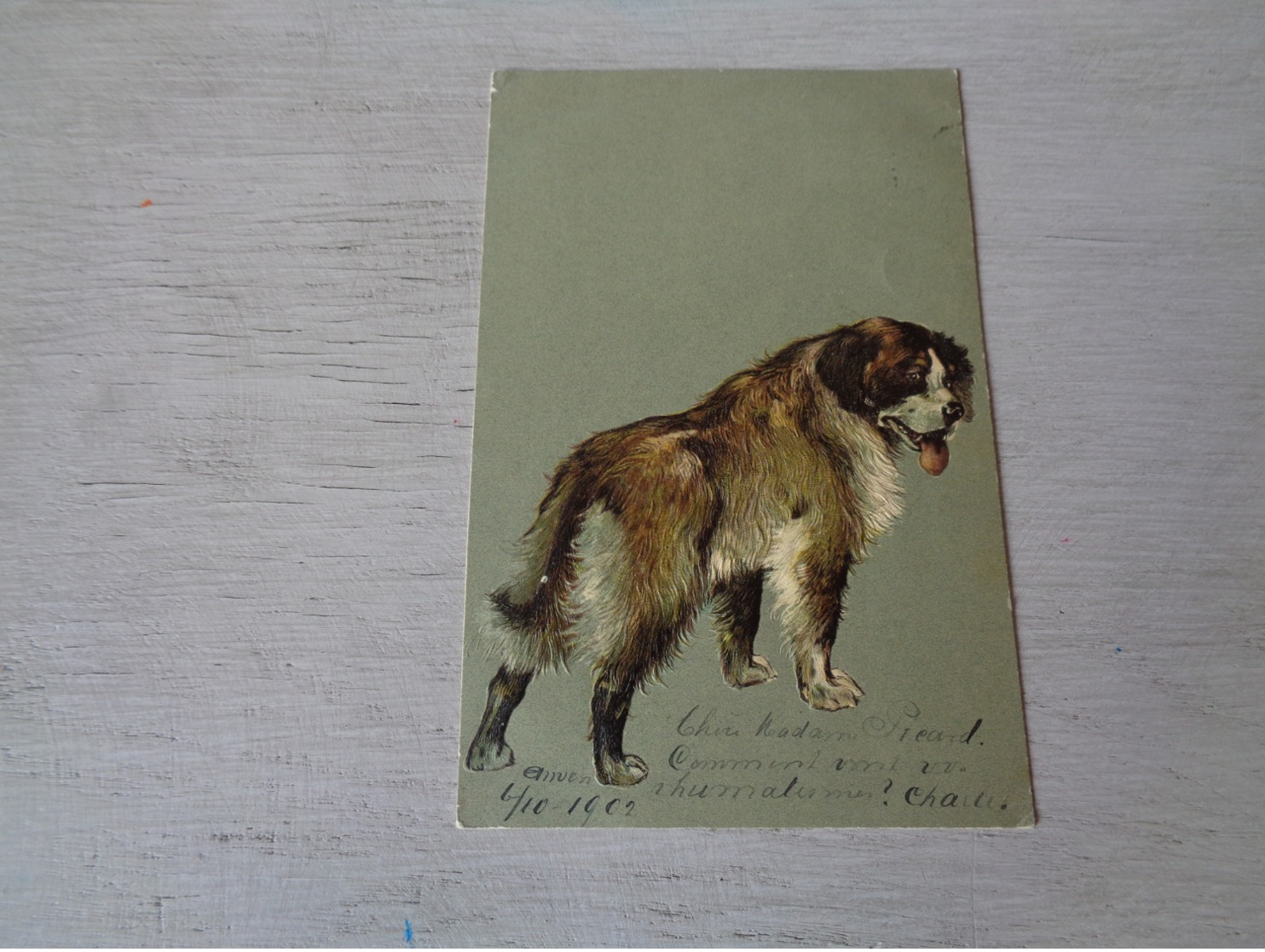Chien ( 502 )  Hond   Carte Gaufrée  Reliëf - Honden