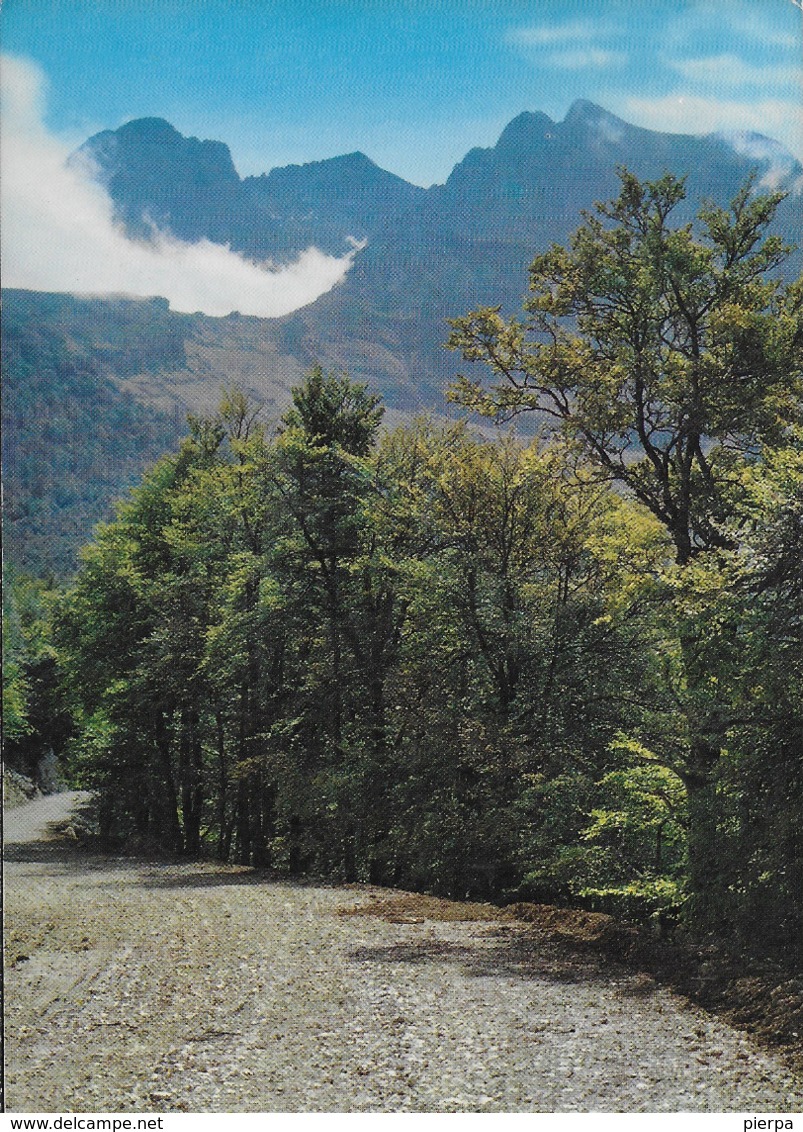 ABRUZZO - GRAN SASSO D'ITALIA - PRATI DI TIVO - PIETRACAMELA  - VIAGGIATA 1970 - Other & Unclassified