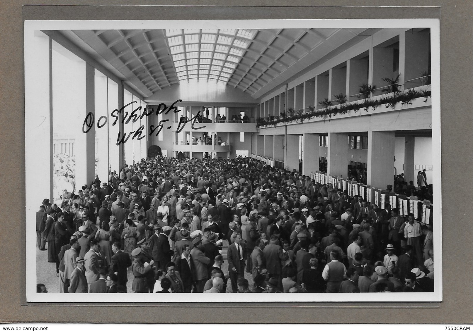 OOSTENDE : -1952-HIPPODROOM-GEEN POSTKAART-MAAR MOEDERFOTO VAN 15,50CM OP 10,50CM-MAISON ERN,THILL - Oostende