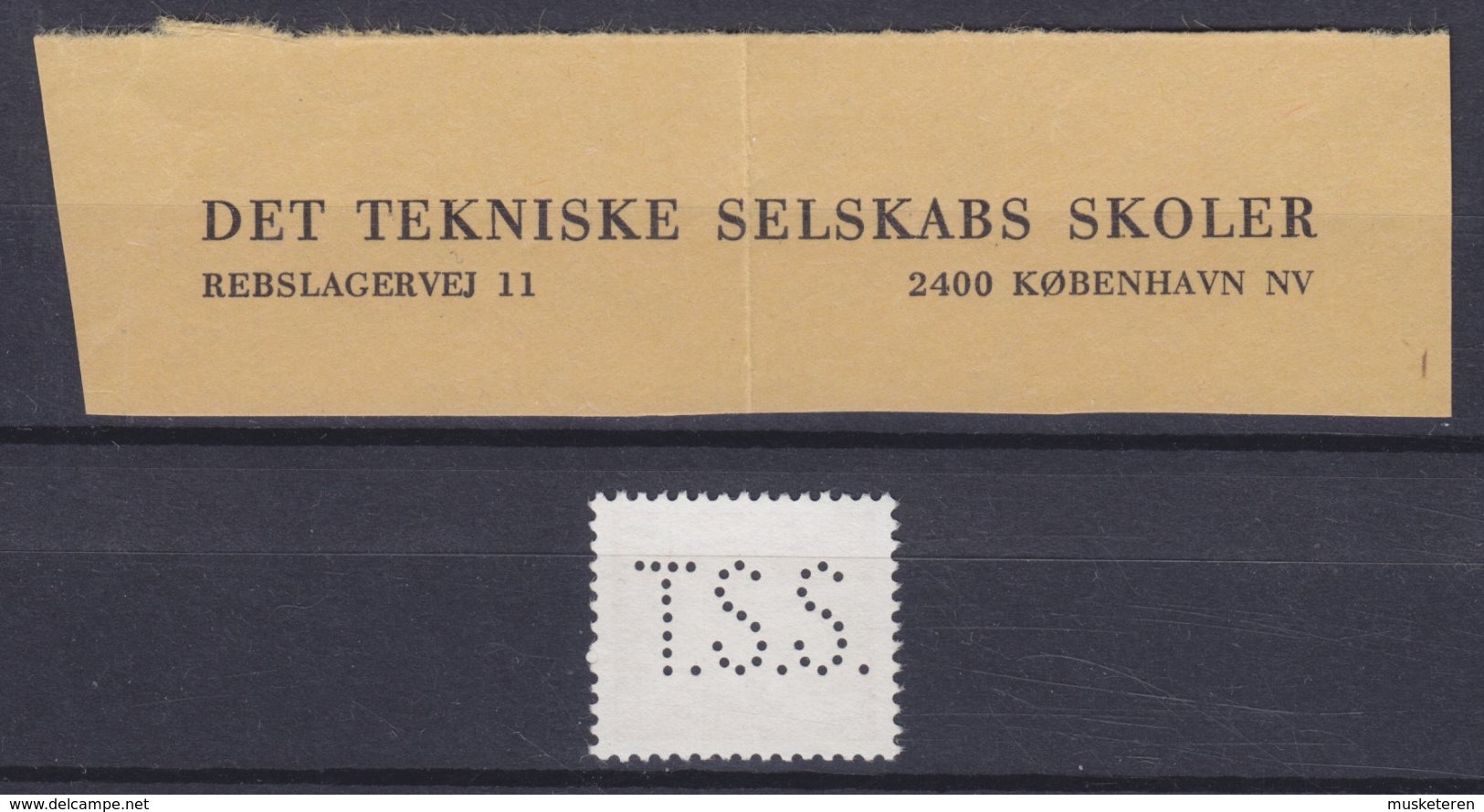 Denmark Perfin Perforé Lochung (T30) 'T.S.S.' Det Tekniske Selskabs Skoler, København Fr. IX. Stamp (2 Scans) - Abarten Und Kuriositäten