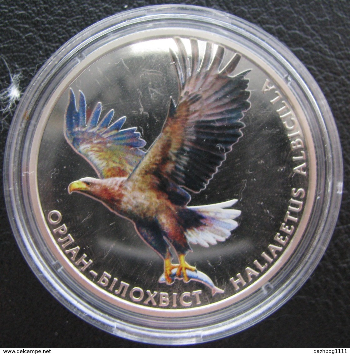 White-tailed Eagle Ukraine 2019 Coin 2 UAH - Ukraine