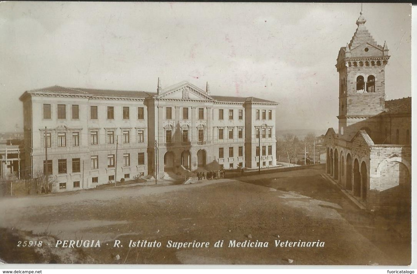 PERUGIA REGIO ISTITUTO SUPERIORE DI MEDICINA VETERINARIA -FP - Perugia