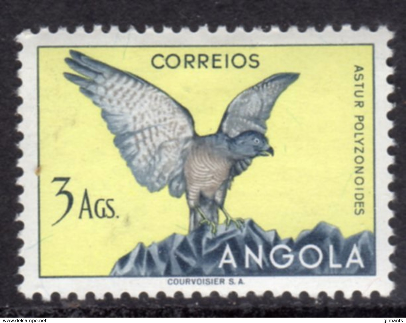ANGOLA - 1951 3Ag SHIKRA BIRD STAMP MOUNTED MINT MM * SG 467 - Angola