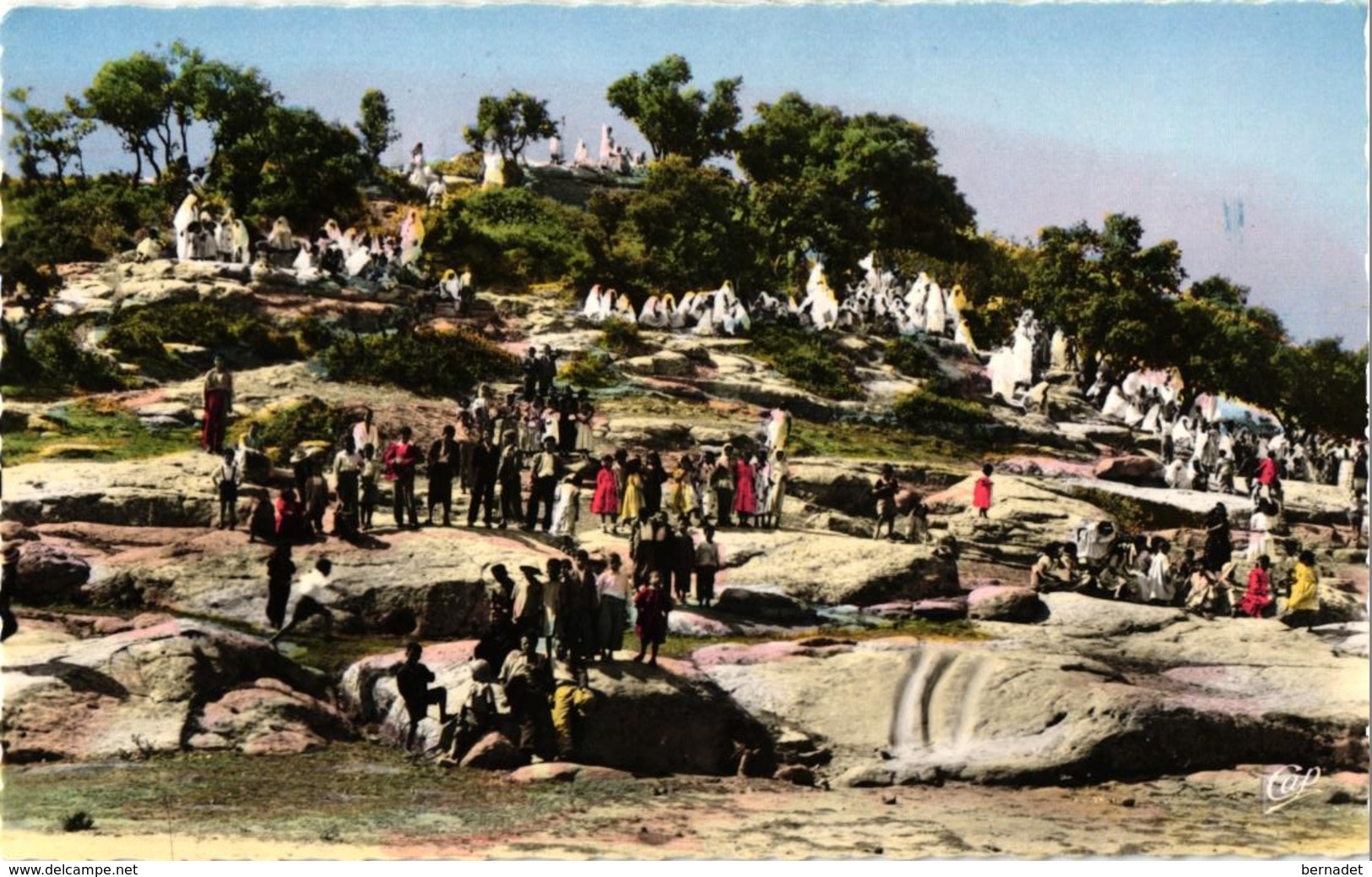 ALGERIE .. TIARET .. LE MARABOUT DE SIDI KHALED UN JOUR DE FETE - Tiaret