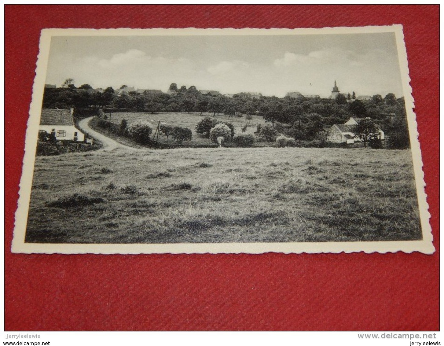 TEMPLOUX   -  Vue Sur Les Rys  Et Le " Try Péchon "   - - Namur