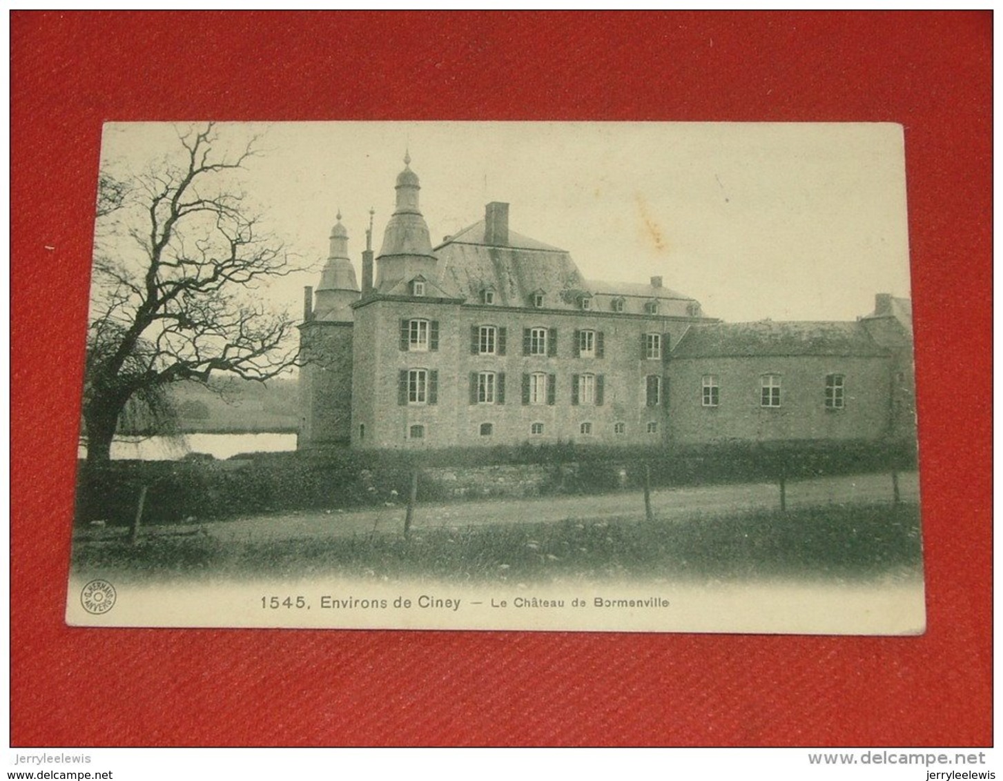 CINEY  -   Château  De Bormenville     - 1921 - Ciney