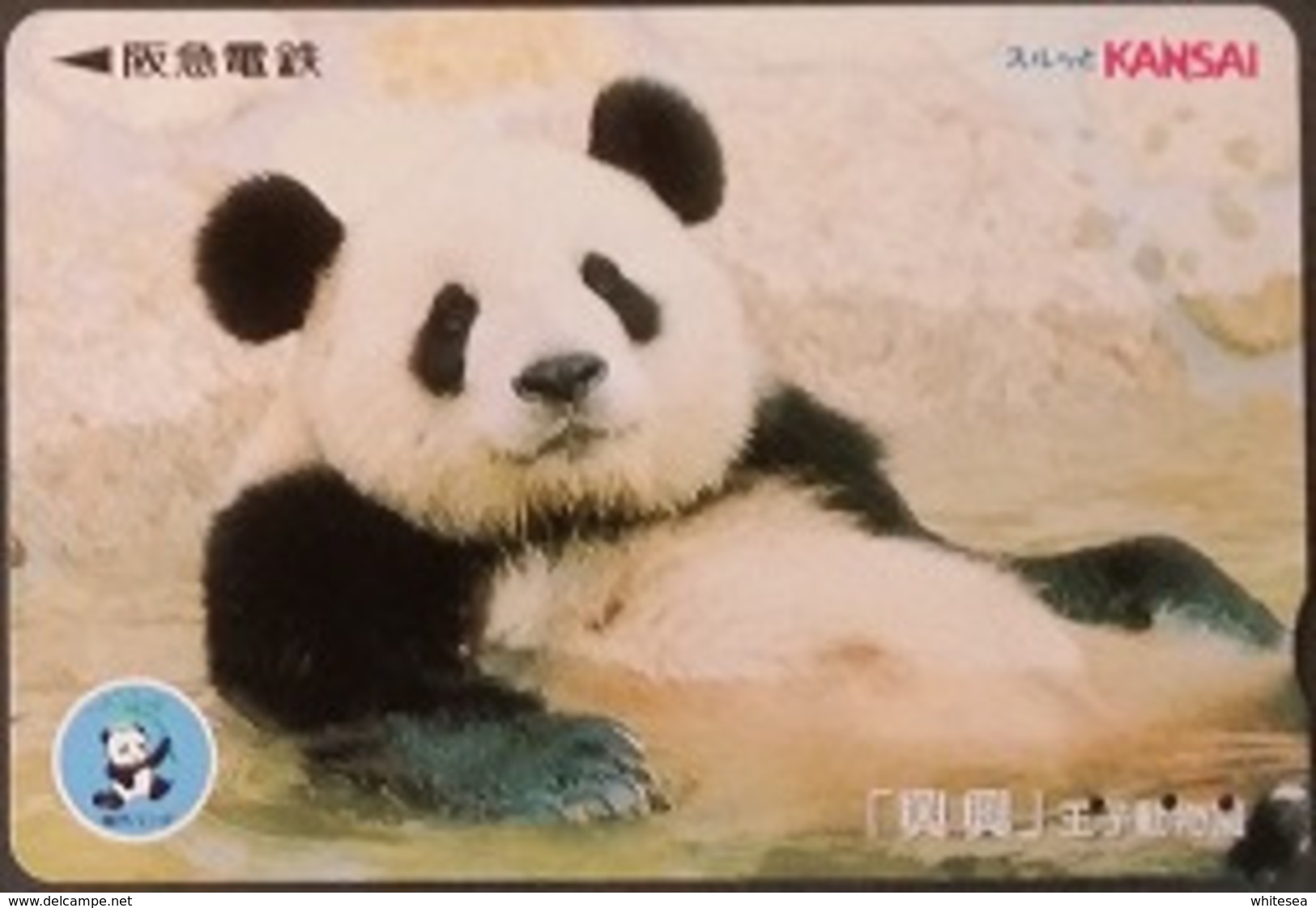 Prepaidcard  Japan -  Panda - Japan