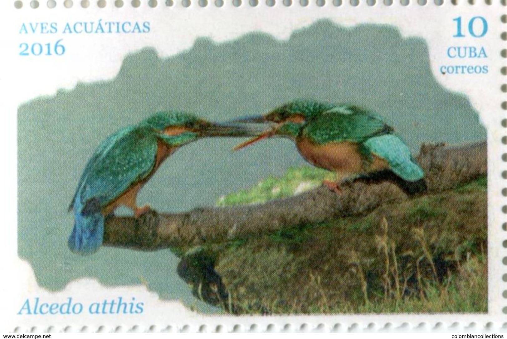 Lote CU2016-6, Cuba, 2016, Sello, Stamp, Aves Acuaticas, 6 V, Water Bird - Otros & Sin Clasificación