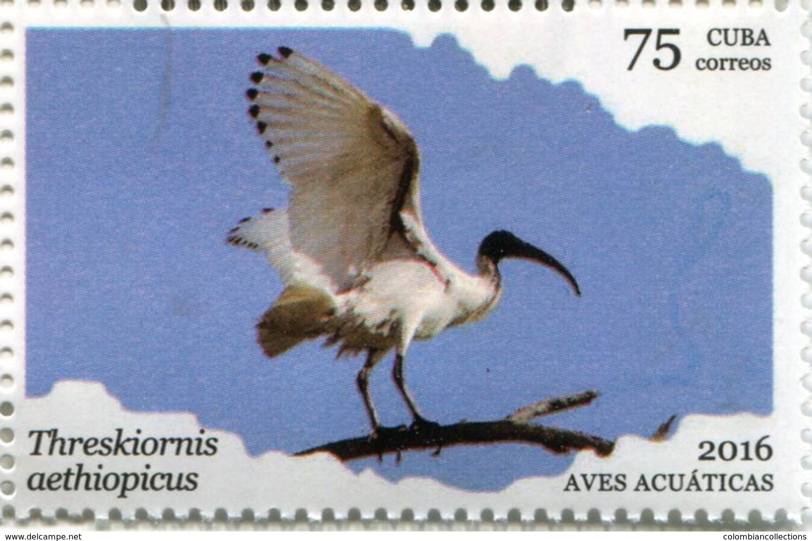 Lote CU2016-6, Cuba, 2016, Sello, Stamp, Aves Acuaticas, 6 V, Water Bird - Otros & Sin Clasificación