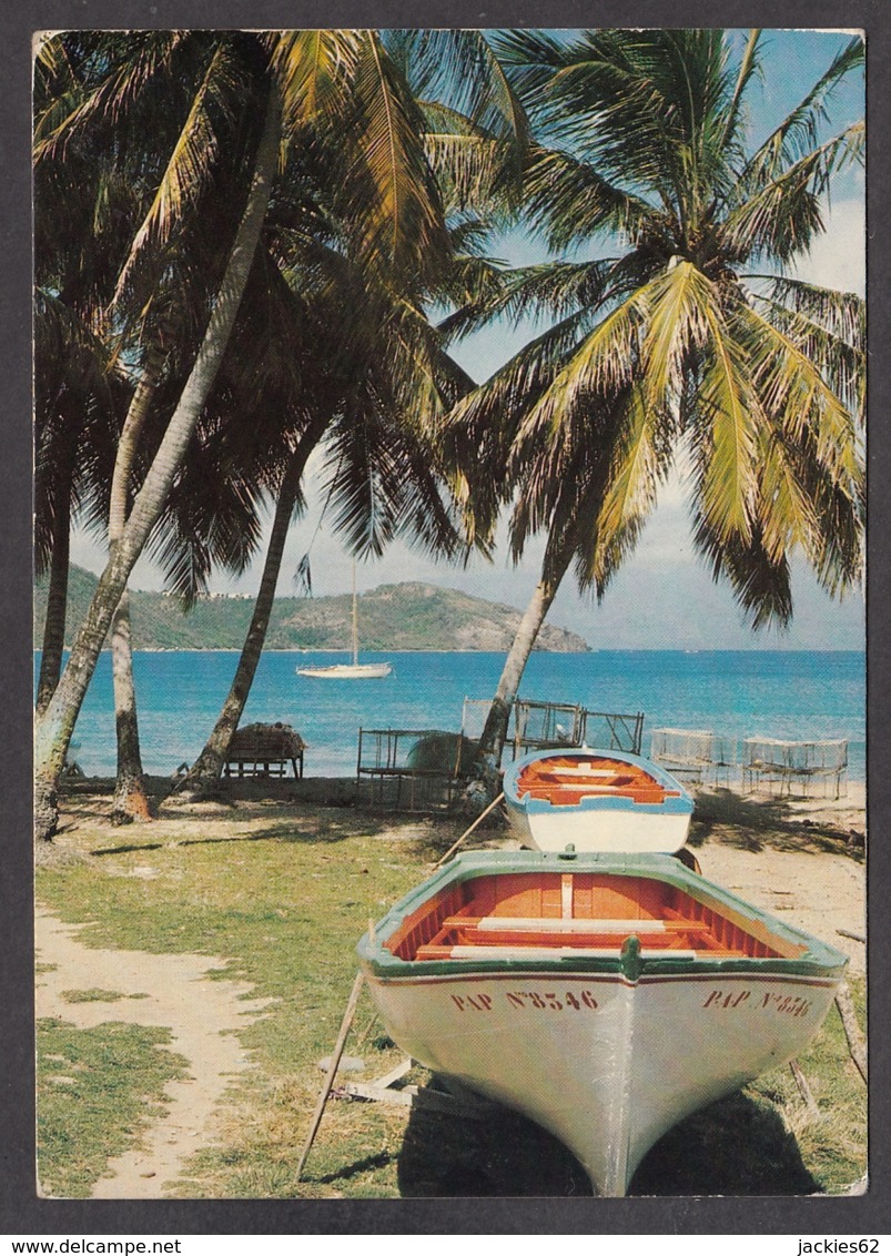 103775/ GUADELOUPE, Îles Des Saintes, Barque Saintoise à *Fond De Curé* - Sonstige & Ohne Zuordnung