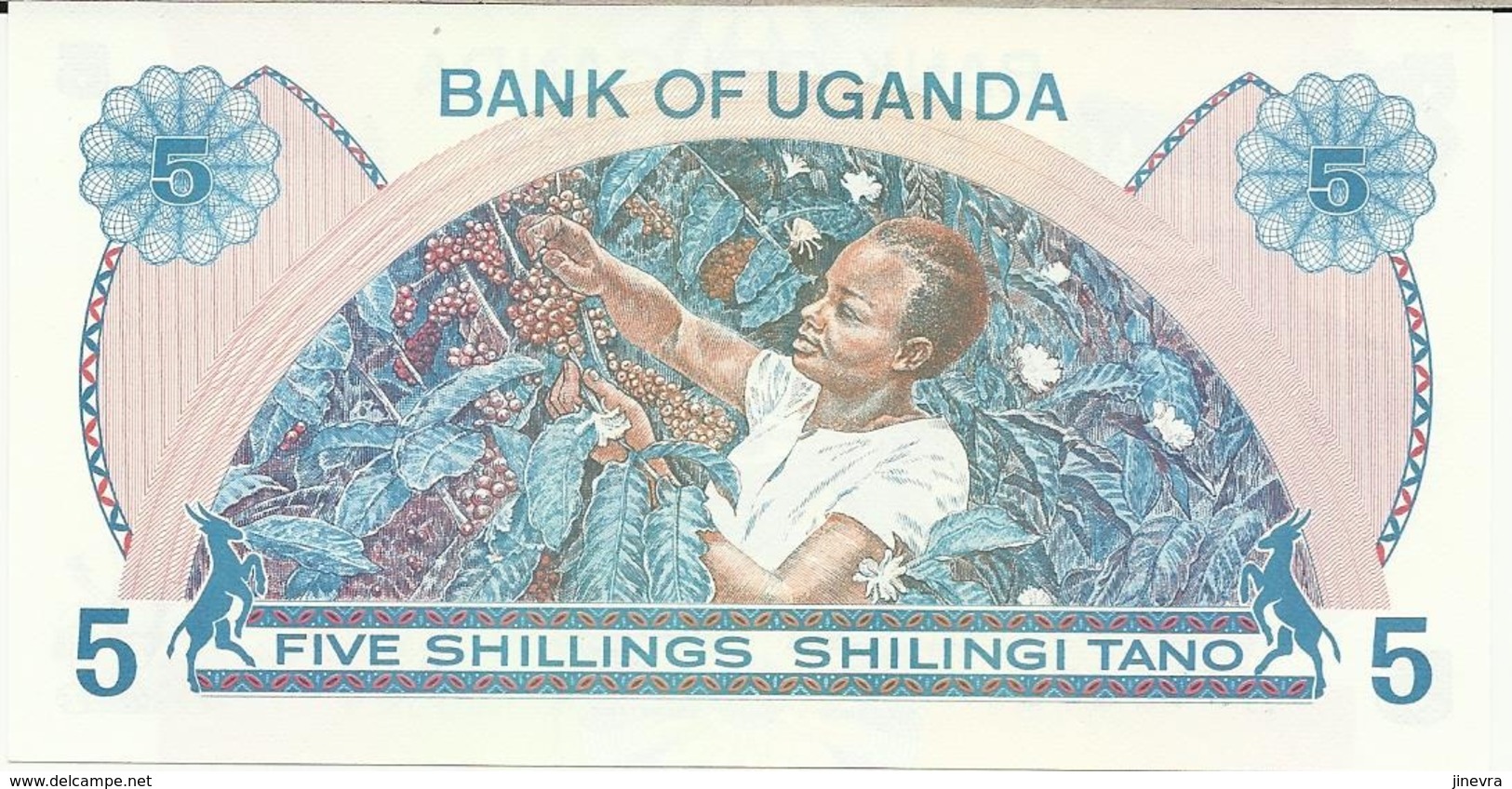 UGANDA 5 SHILLINGS 1977 PICK 5A UNC - Oeganda