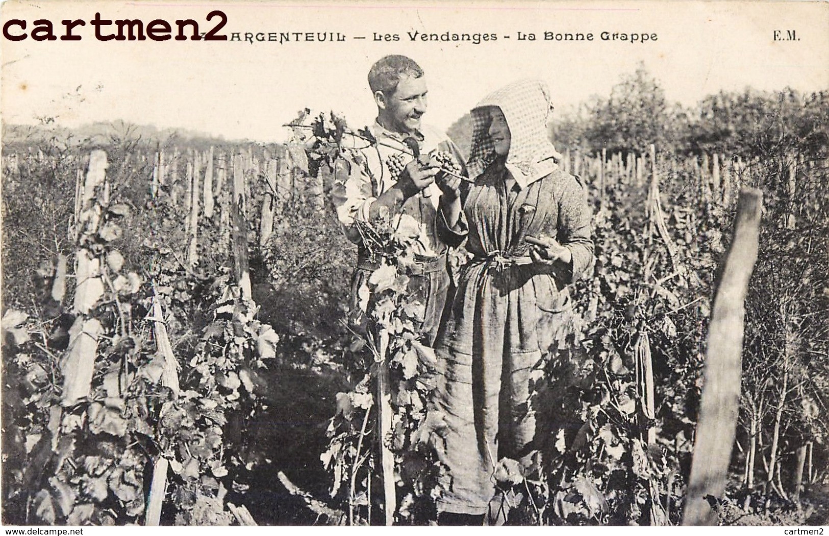 ARGENTEUIL LES VENDANGES LA BONNE GRAPPE METIER AGRICULTURE 95 - Argenteuil