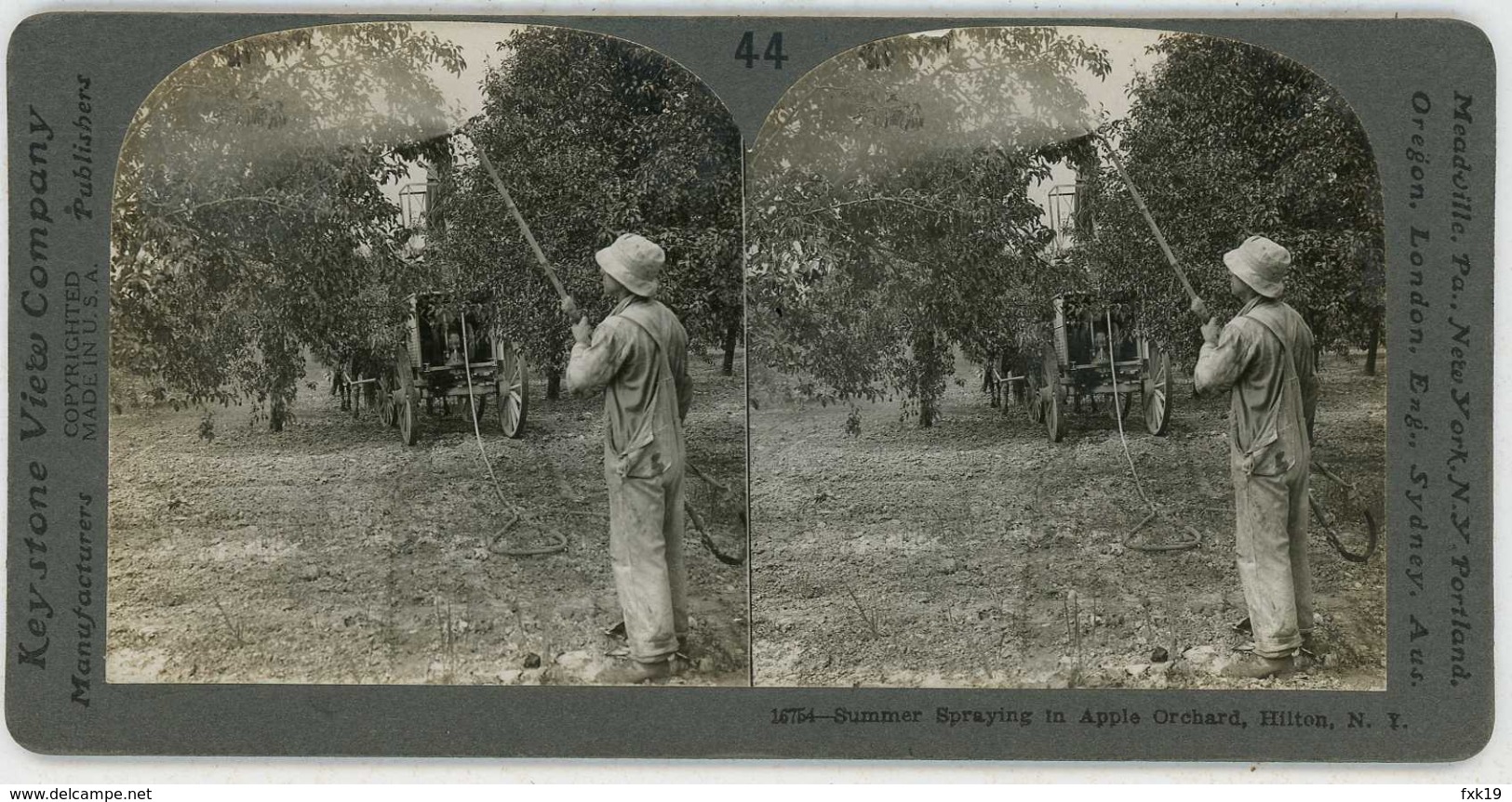 New York ~ HILTON ~ Spraying Apple Trees Stereoview 16754 Ve44d - Fotos Estereoscópicas