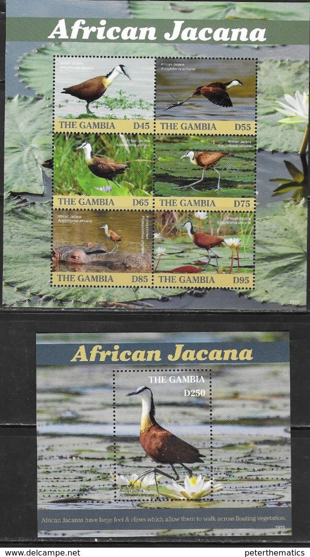 GAMBIA, 2019, MNH, BIRDS, JACANAS, SHEETLET+ S/SHEET, HIGH FV - Other & Unclassified