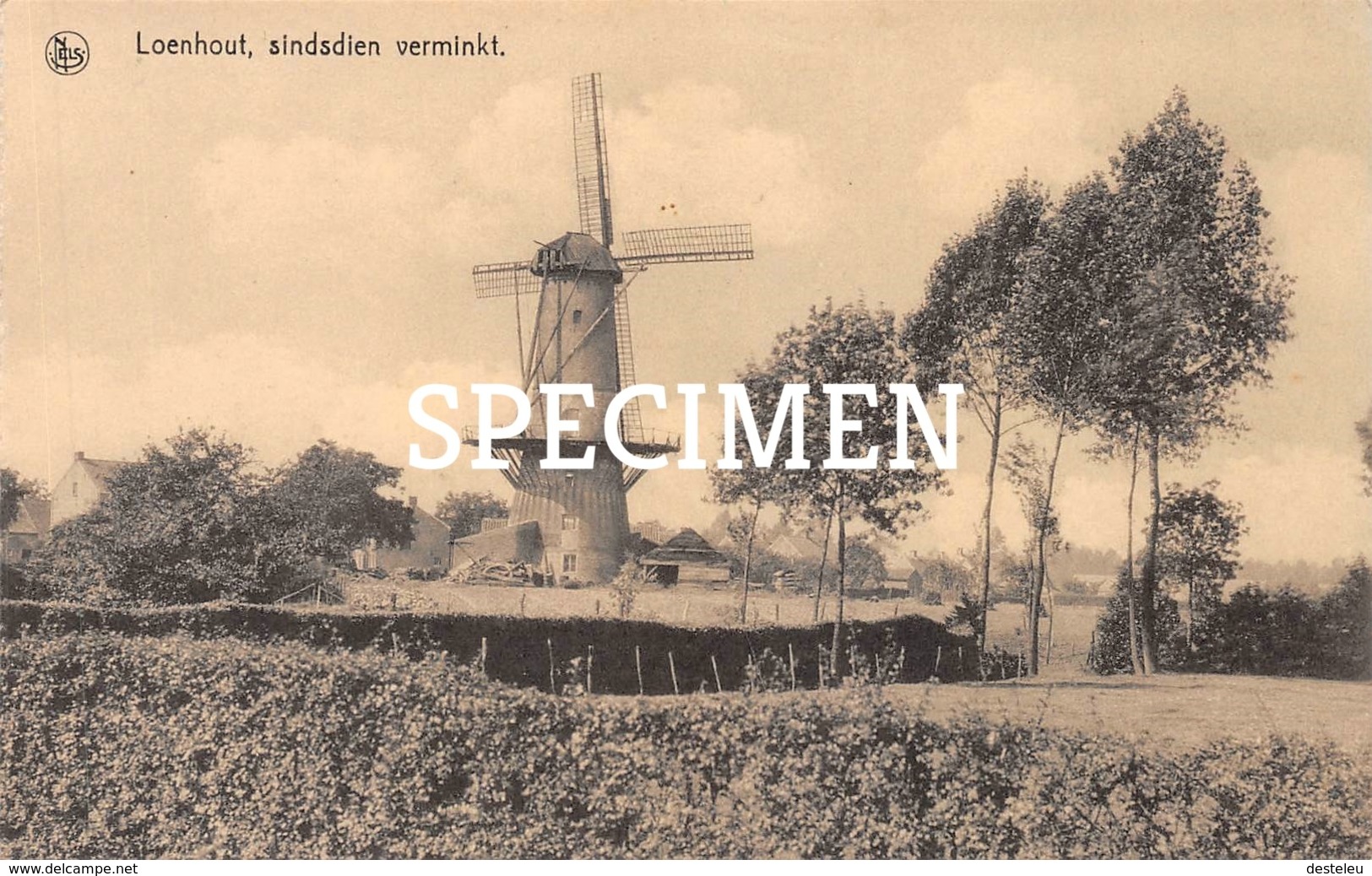 Loenhout, Sindsdien Verminkt Molen - Wuustwezel