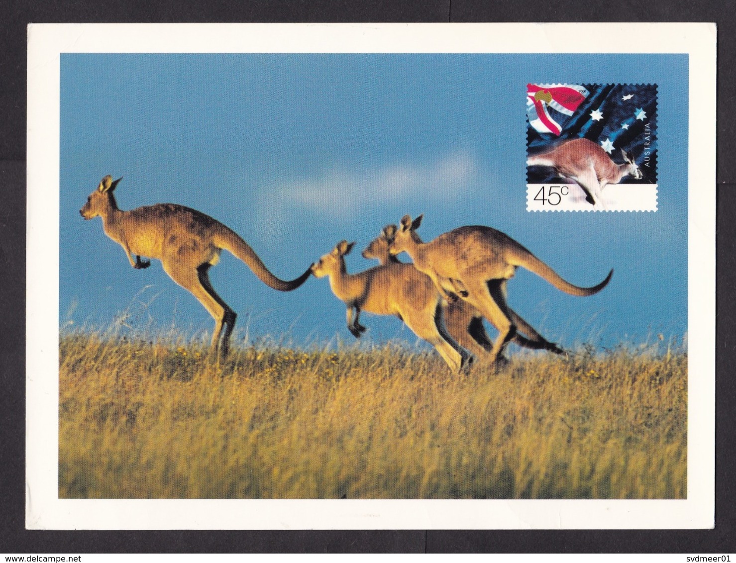 Australia: Stationery Picture Postcard To Germany, 2004, Kangaroo, Animal, Air Label (traces Of Use) - Brieven En Documenten