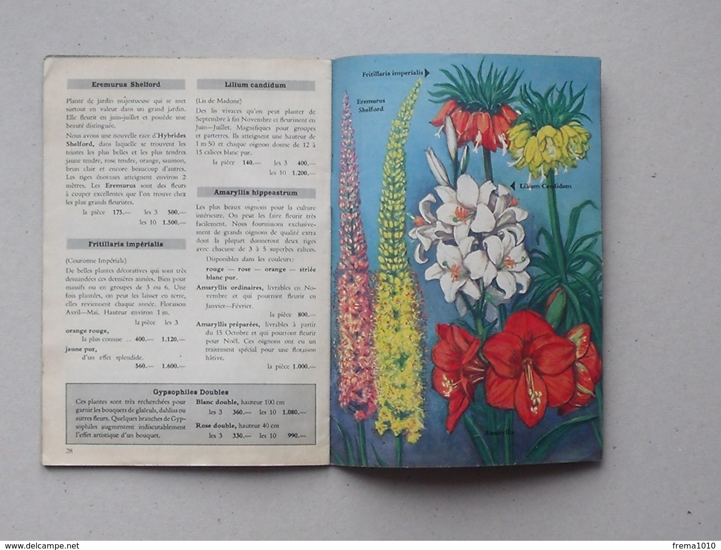 CHANTILLY Lot 2 Catalogues VAN ENGELEN (HORTICULTURE): Automne 1956 Et 1957 + Bon De Commande Et Enveloppe D'origine - Pubblicitari