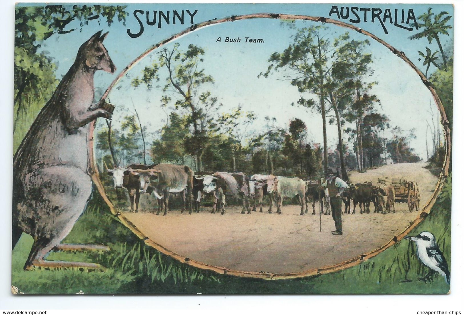 Sunny Australia - A Bush Team - Autres & Non Classés