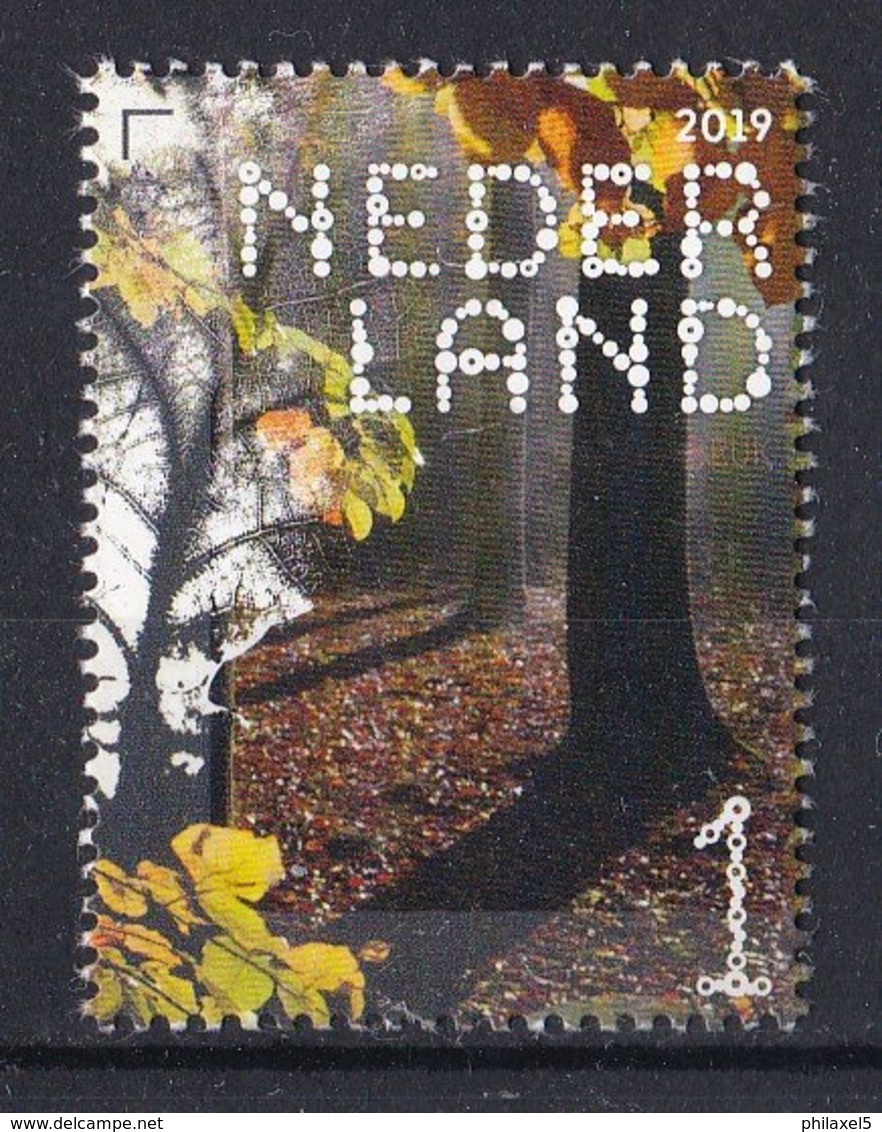 Nederland - Beleef De Natuur- Beuk - Fagus Sylvatica - MNH - NVPH 3776 - Bomen