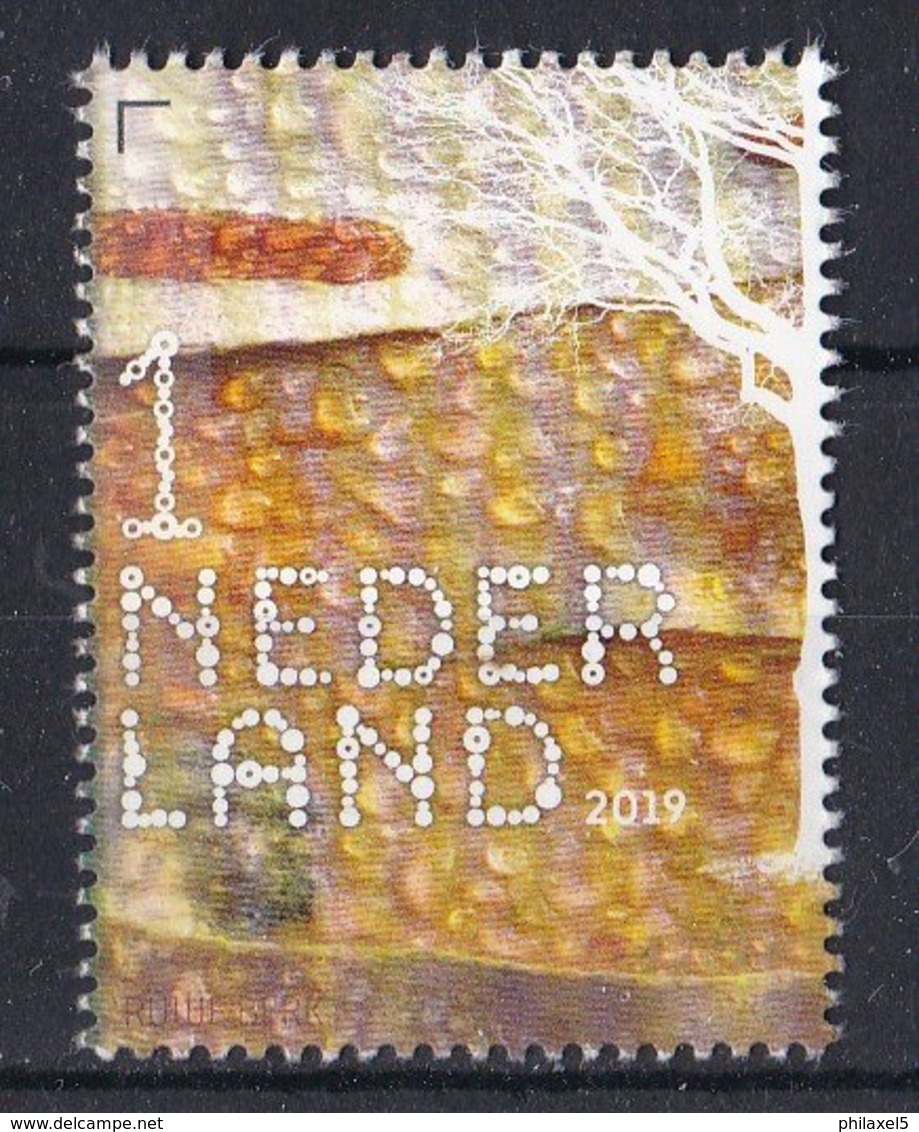 Nederland - Beleef De Natuur- Ruwe Berk - Betula Pendula - MNH - NVPH 3785 - Bomen