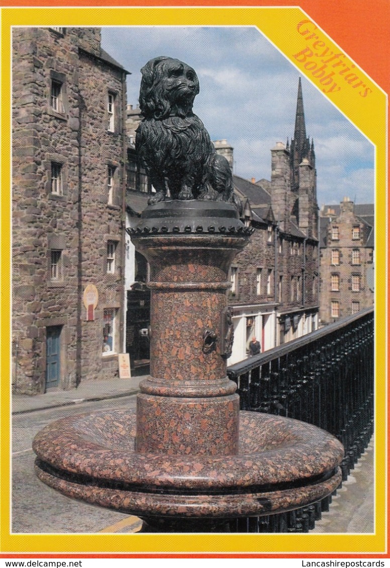 Postcard Greyfriars Bobby Old Town Edinburgh [ Skye Terrier ] My Ref  B23724 - Midlothian/ Edinburgh