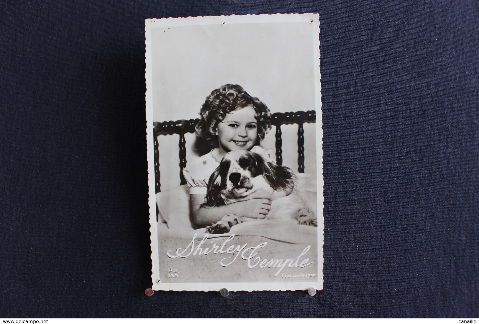 Sp-1/ Actrice,  Shirley Temple  Avec Son Chien - France-Presse - Format 9 Cm X 14 Cm / Circulé . - Acteurs