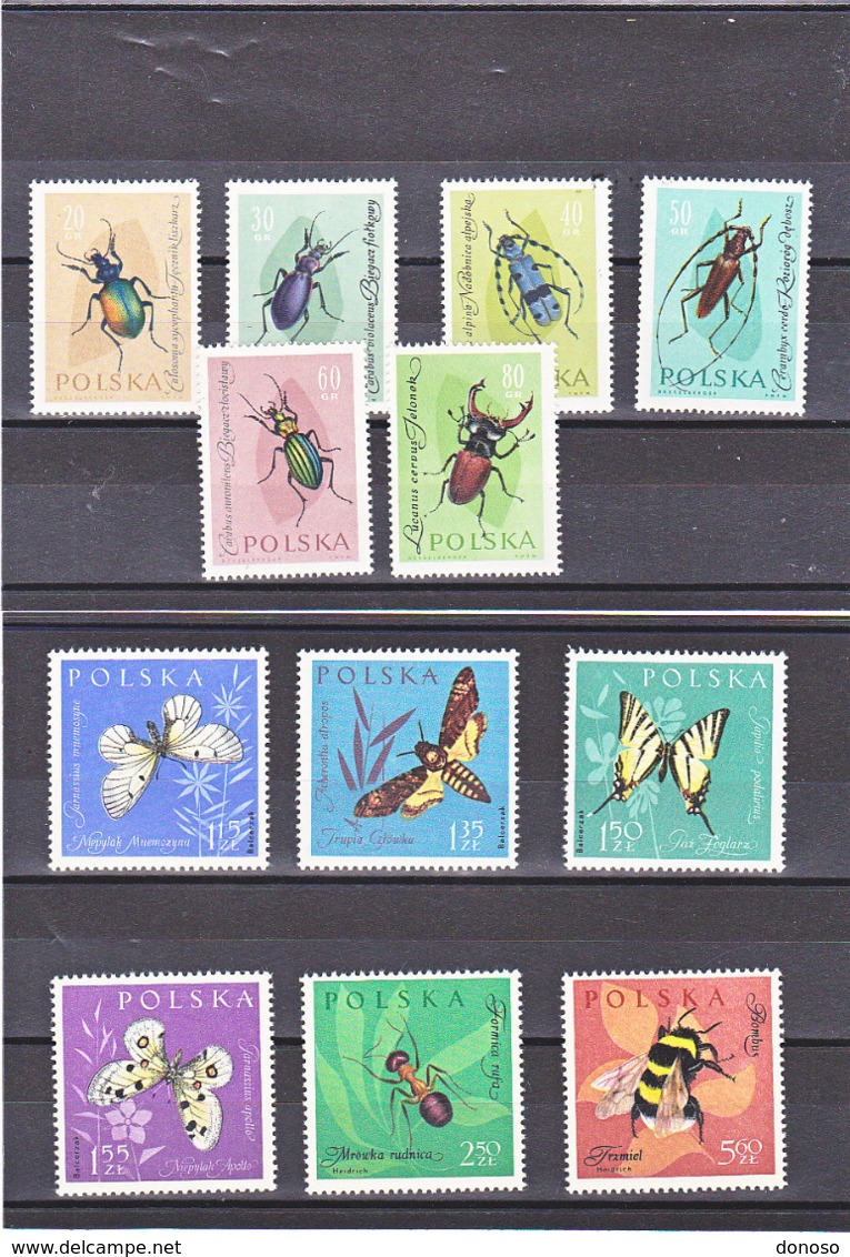 POLOGNE 1962 INSECTES PAPILLONS Yvert 1140-1151 NEUF** MNH - Unused Stamps