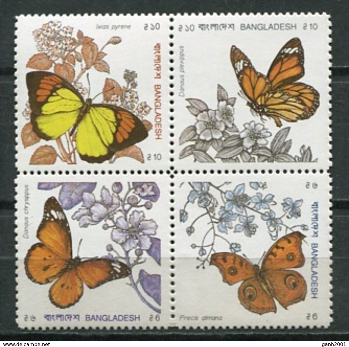 Bangladesh 1990 / Butterflies MNH Mariposas Papillons Schmetterlinge / Cu8218  36-54 - Mariposas