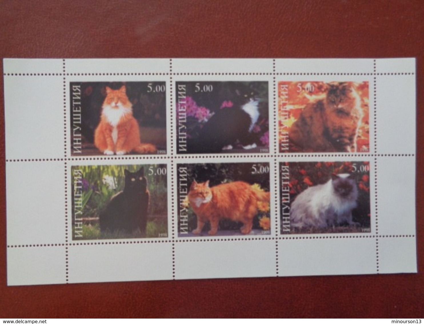 MONGOLIE 1998 BLOC 6 TIMBRES DENTELES - CHATS DIVERS - Mongolie