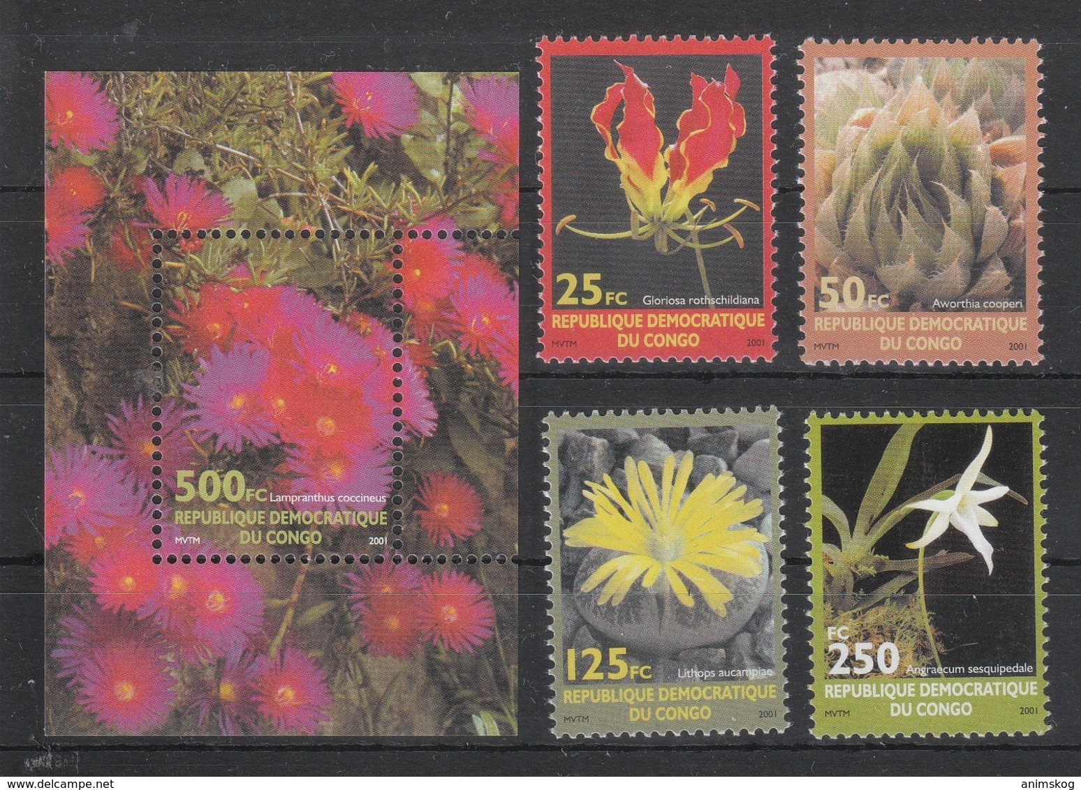 Kongo (Kinshasa) 2002**, Blumen, Sukkulenten / Kongo (Kinshasa), MNH, Flowers, Succulents - Sukkulenten