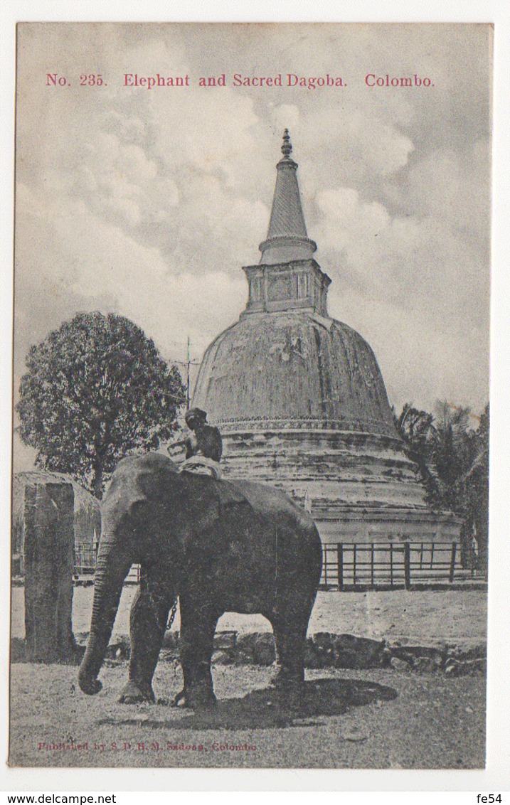 ° SRI LANKA ° CEYLON ° CEYLAN ° ELEPHANT AND SACRED DAGOBA ° COLOMBO ° - Sri Lanka (Ceylon)