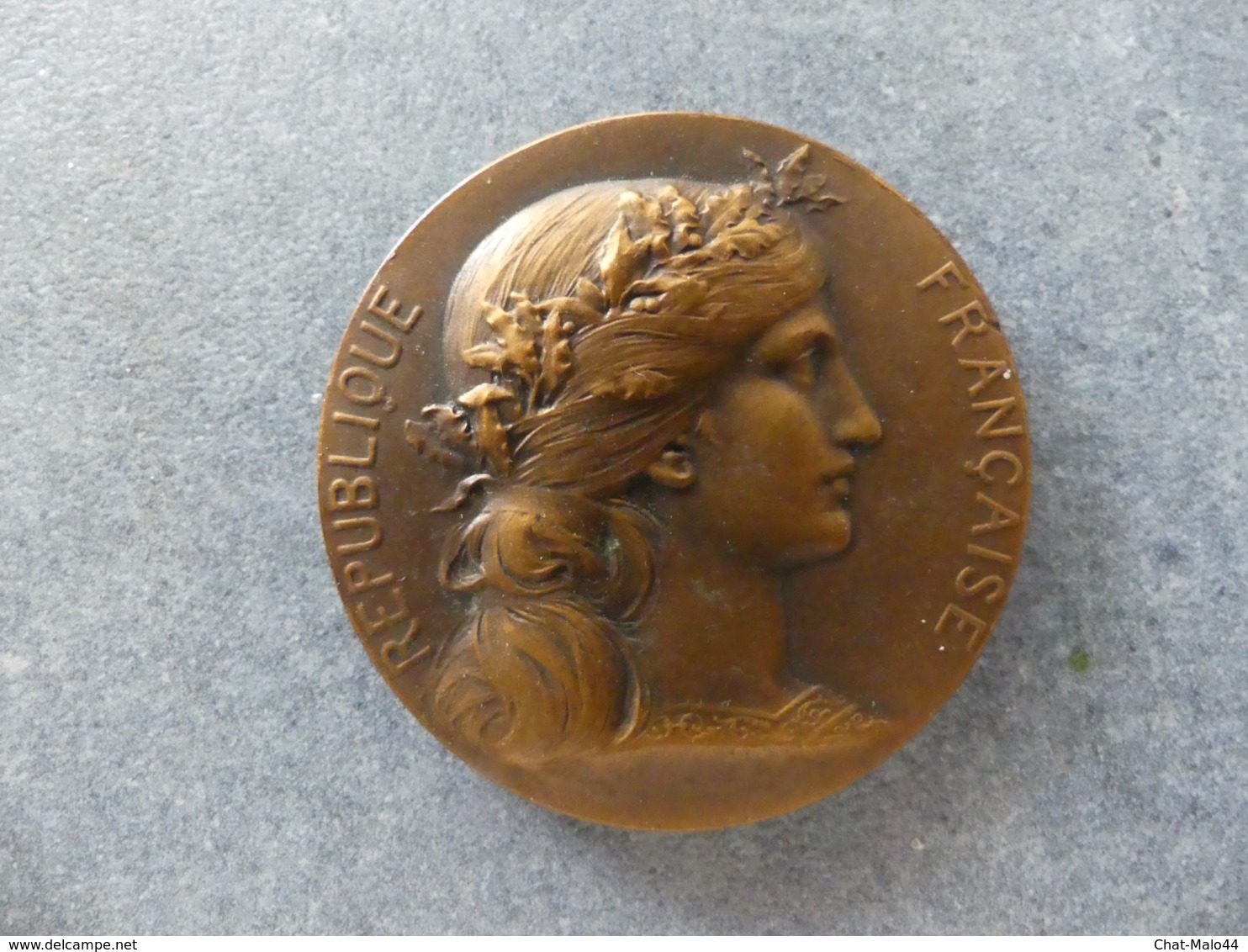 Médaille D'honneur Au Travail. Union Syndicale Et Fraternelle Des Maîtres Tailleurs De Paris. Médaille En Bronze - Professionnels / De Société