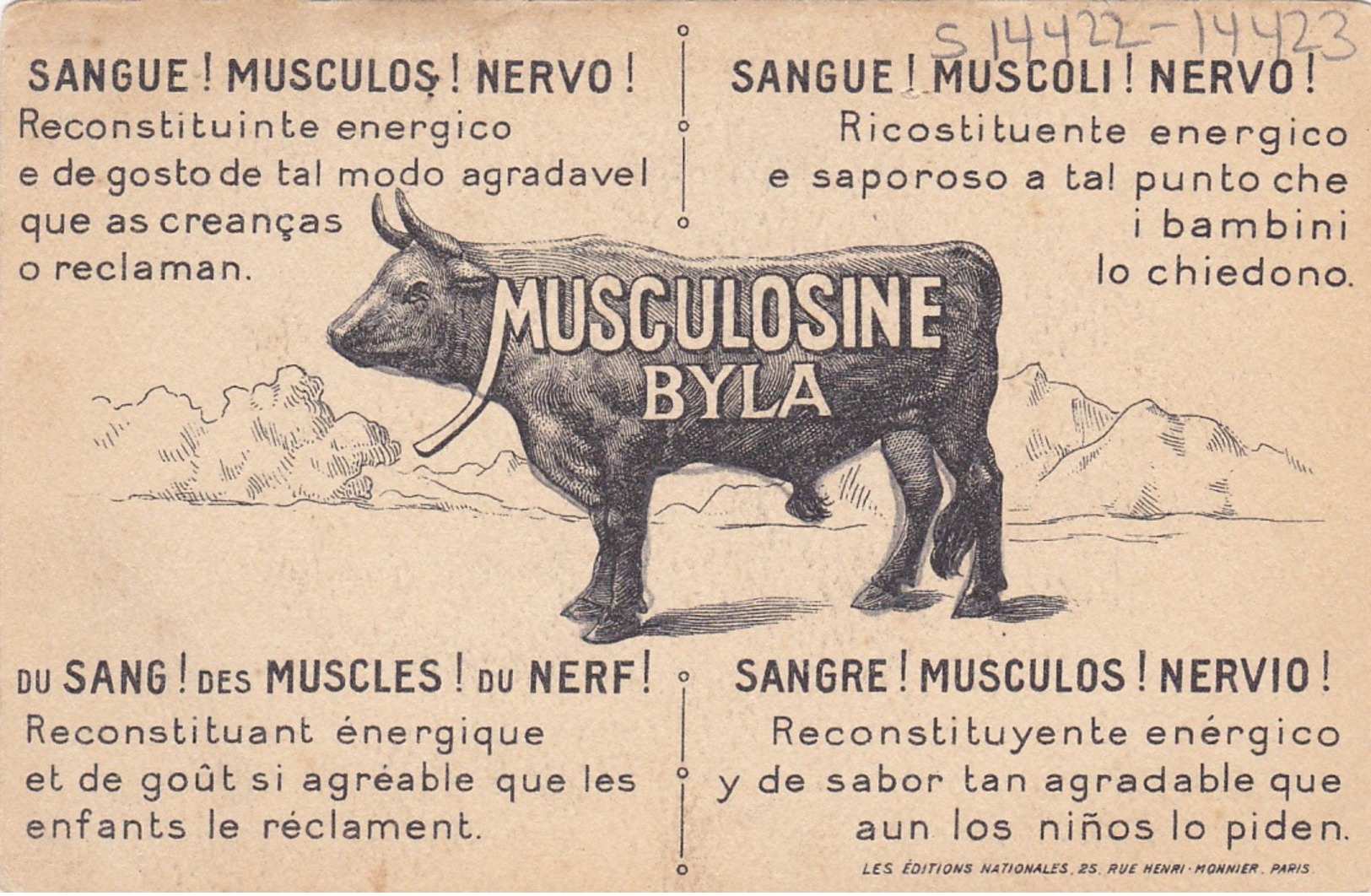 Musculosine Byla , XX. Polynesie , 00-10s - French Polynesia