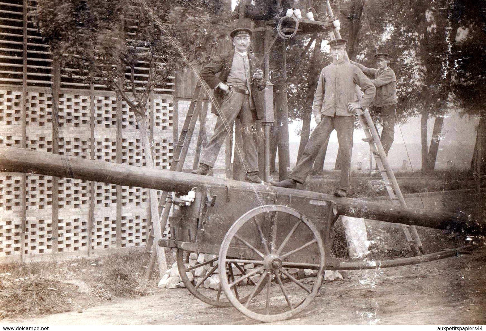 Gd Tirage Photo Albuminé Original Cartonné Electriciens Posant Des Poteaux électriques Vers 1900/10 & Chariot Echelle - Métiers