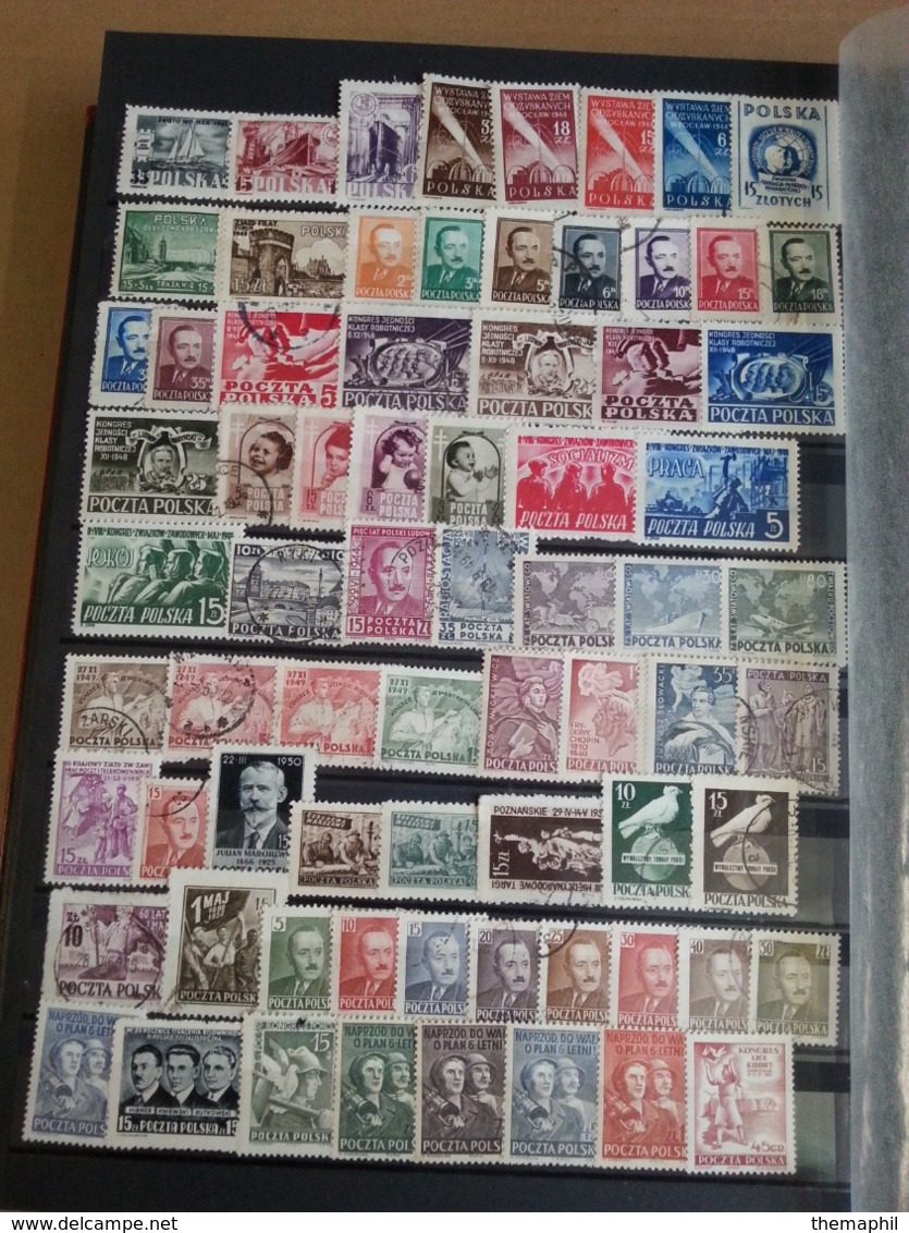 lot n° T 736 POLOGNE tres bon lot de timbres neufs** la plupart