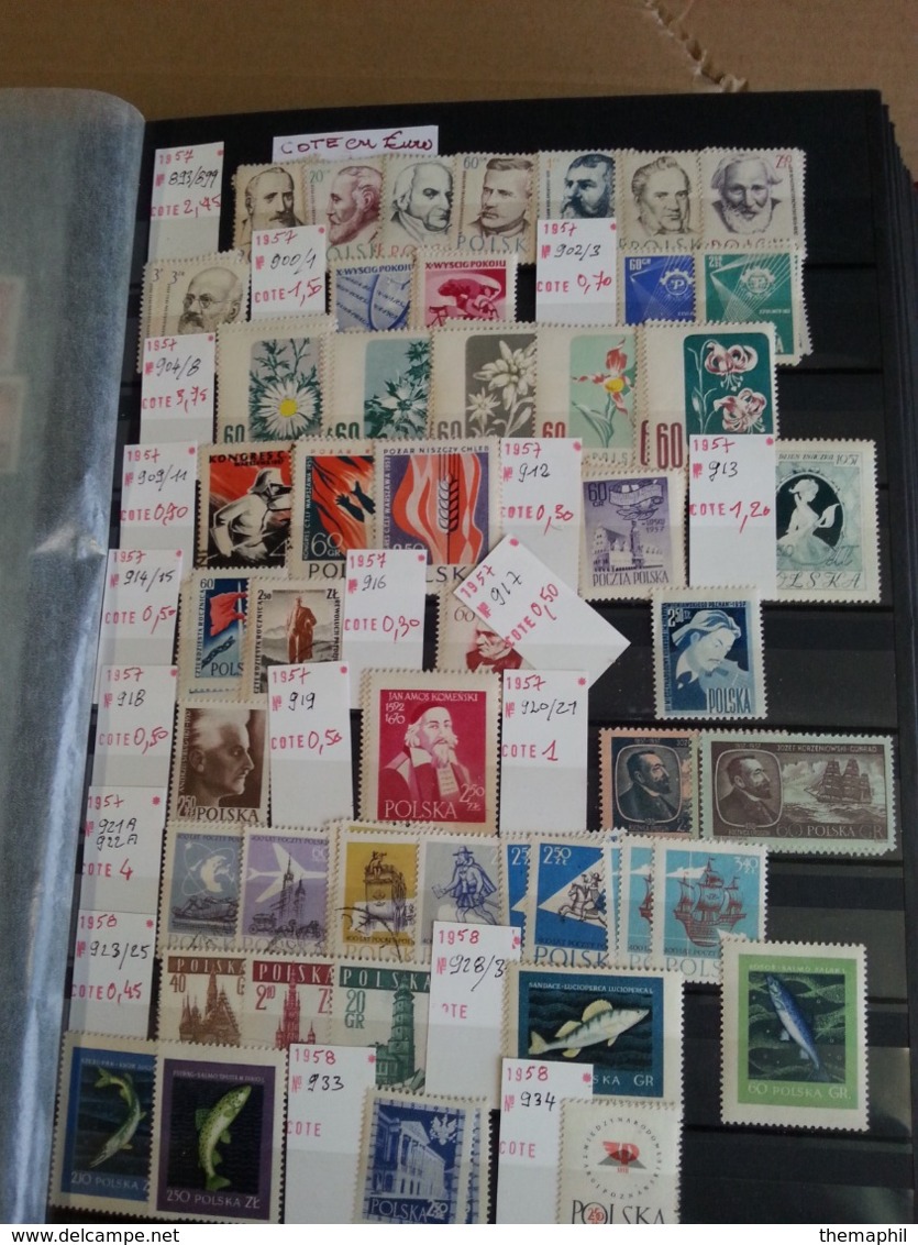 lot n° T 736 POLOGNE tres bon lot de timbres neufs** la plupart